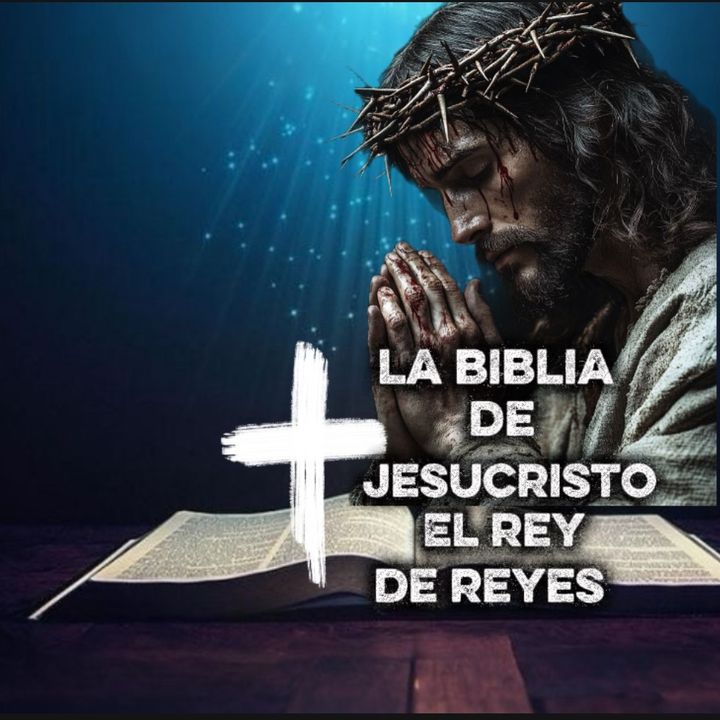 GF videos y Reflexiónes