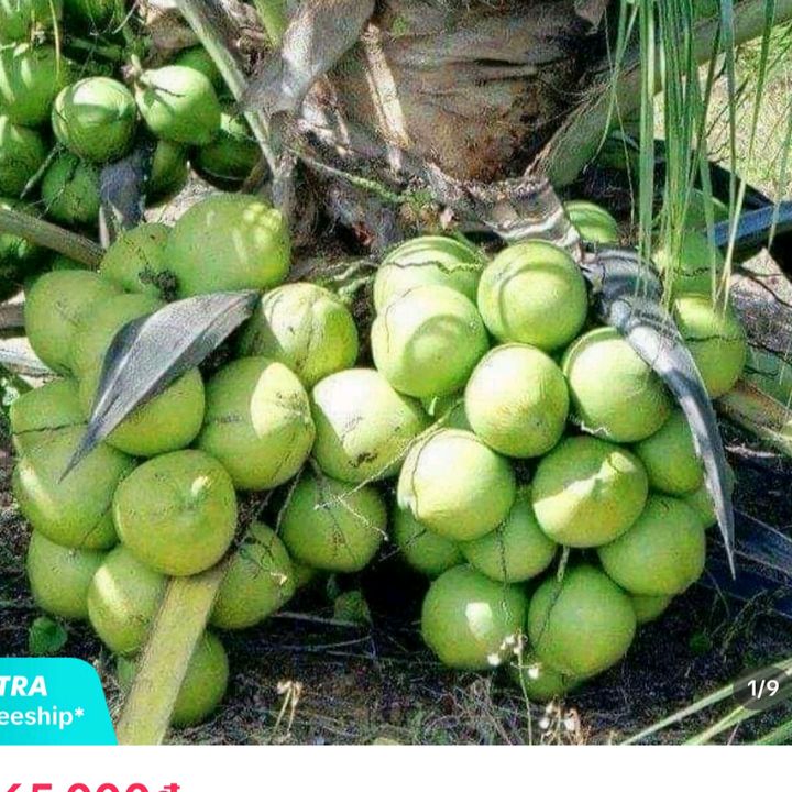 Anh nông dân 🌴🌴🌴