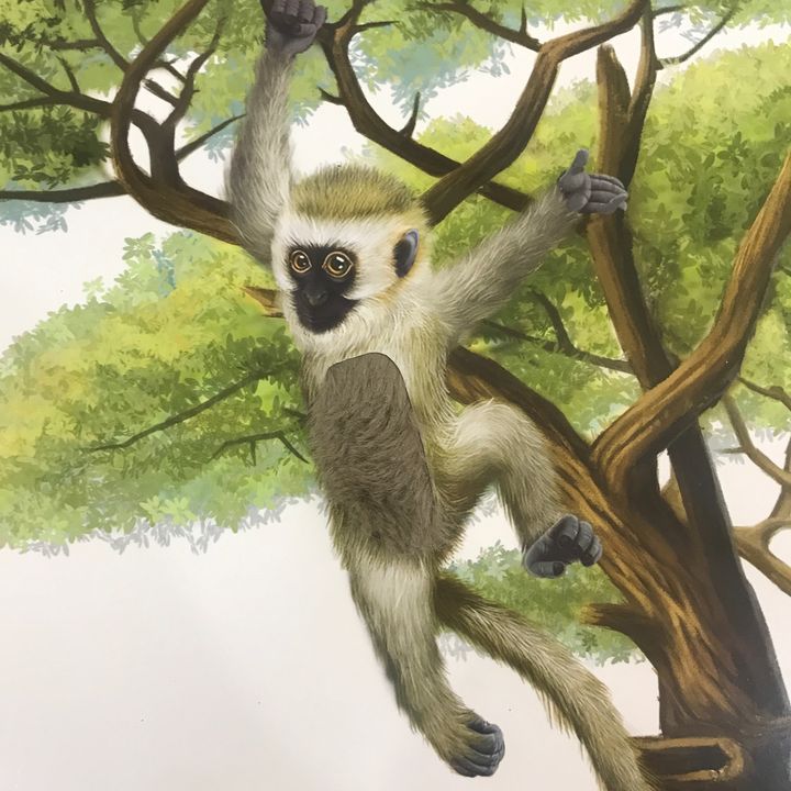 Monkeyfly06