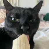 Salem