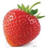 s,y,g