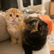 Cleo & Jack