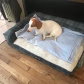 Molly girl