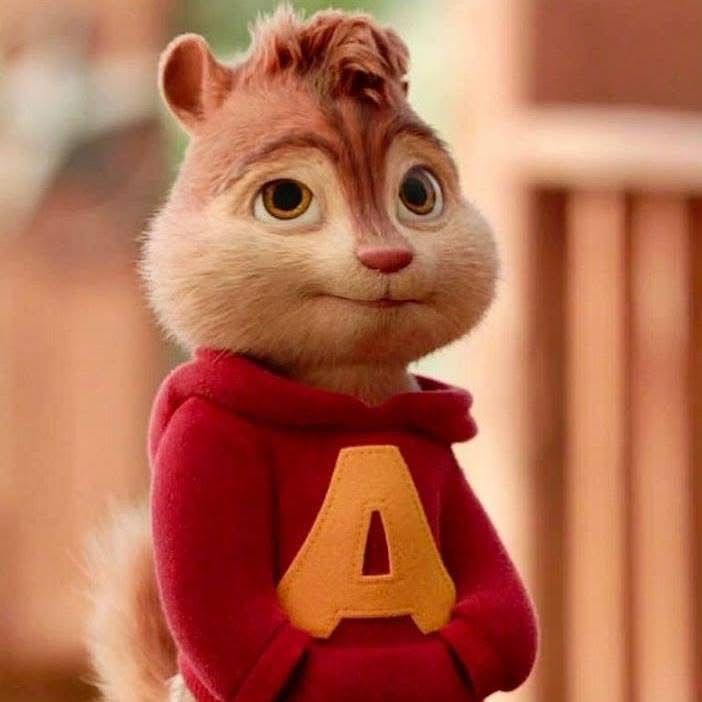 Ardilla 🐿️ de cubulco tista