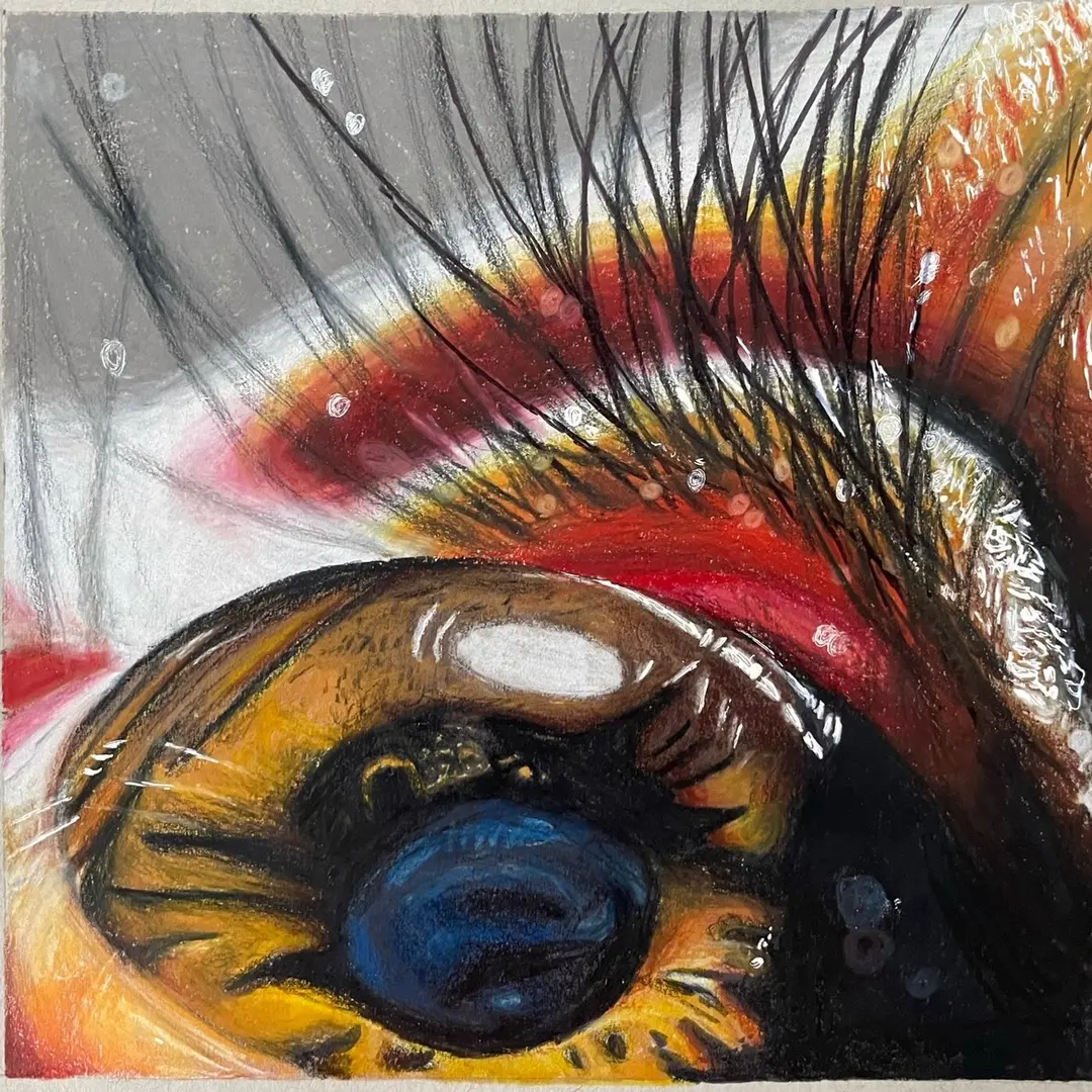 Imber.art