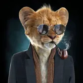 funny animals