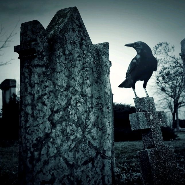Scaresville_UK