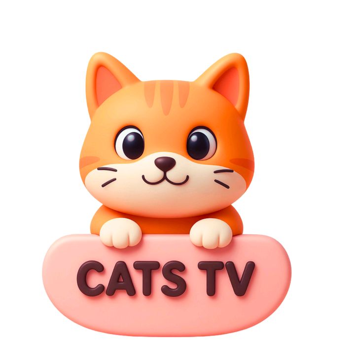 CATS TV