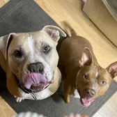 Bonnie and Clyde