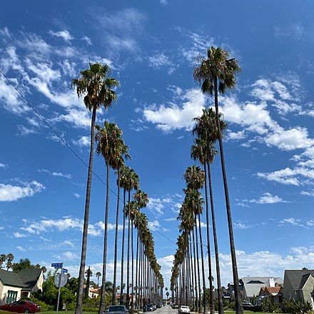 South Central Los Angeles
