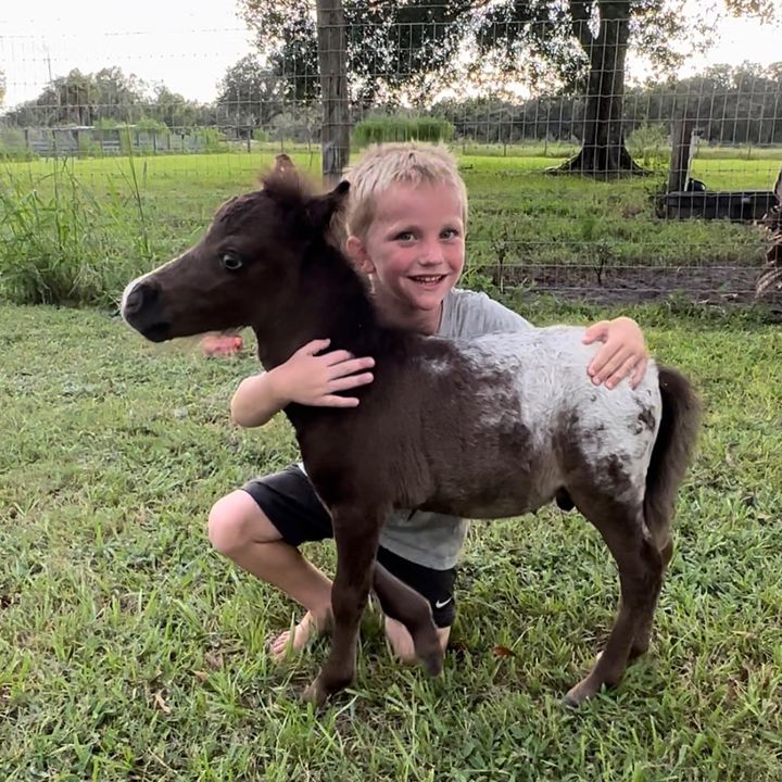 Boyle Family Farm