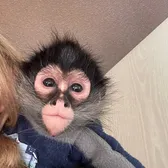 East Texas Exotic Animals🐒🙉