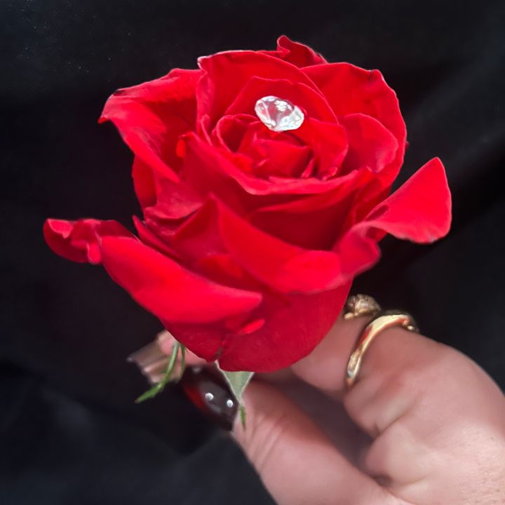 La mujer de …….🥰