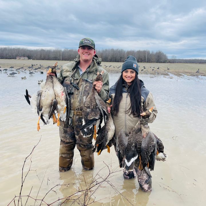 turntupwaterfowl
