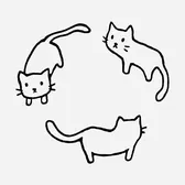 The M&M Cats 😺😸