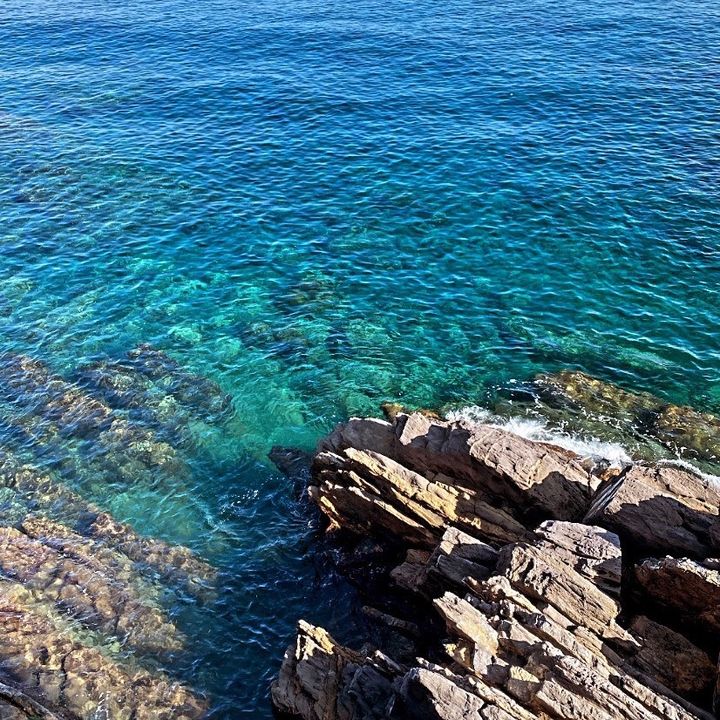la portineria di Genova
