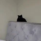 Miss Betty