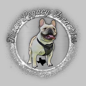 Texas Legacy Frenchies