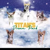 Birdie_the_chihuahua