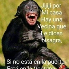 la fragancias del bronx