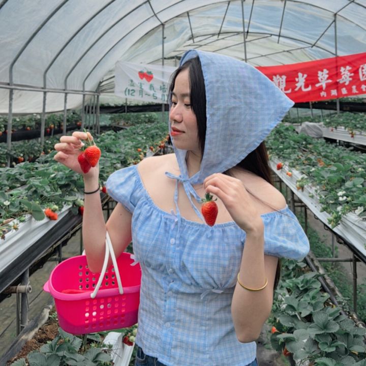 Diệu Hồng - mẹ Thỏ review