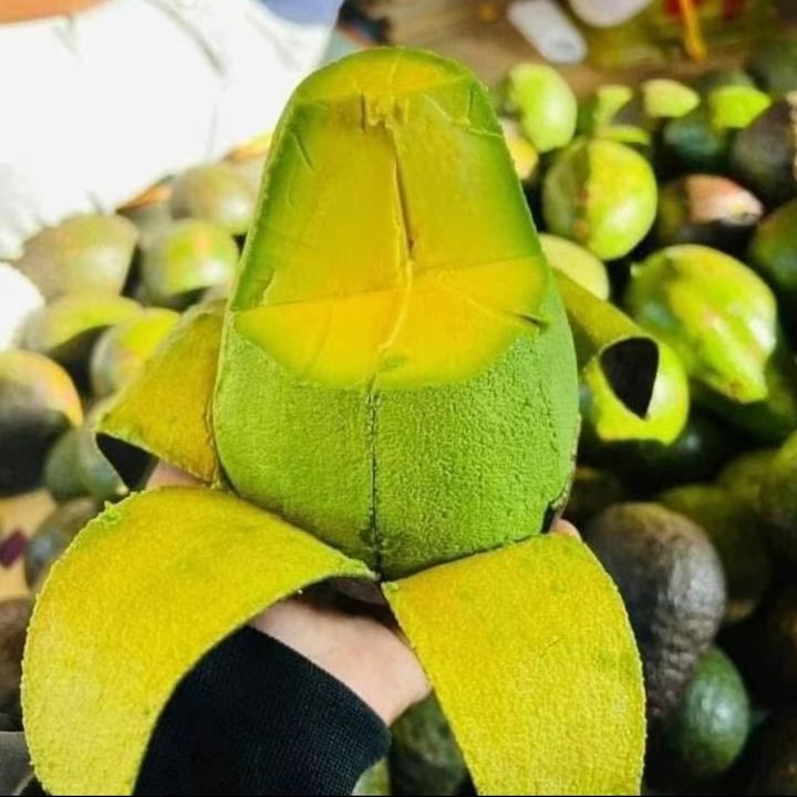 บ้านรักผลไม้ 🍊🥑