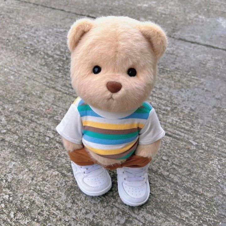 หมี ขายตู้ ราคาถูก
