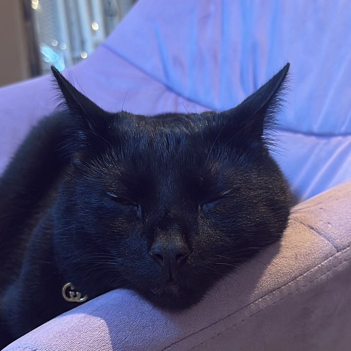 Bean’s life