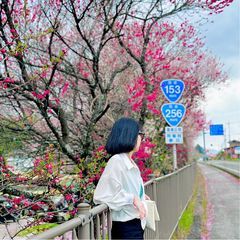 dury phương