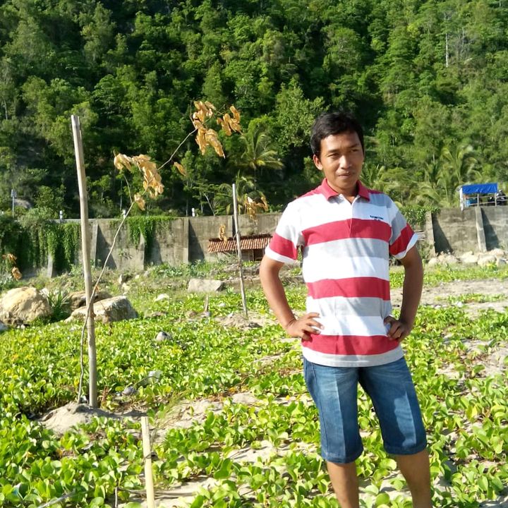 imam pesisir