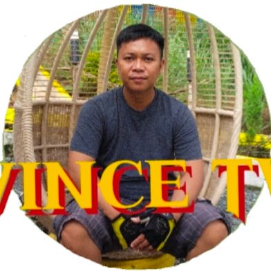 Vince tv