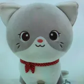 Brother Cat