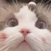 gajzjzmpaz