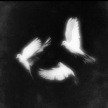 ♱kxnz𖣂