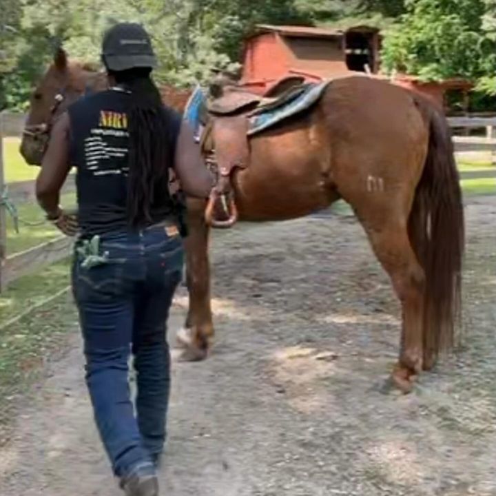 SaddleUp