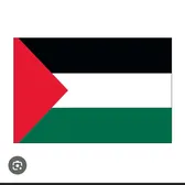 CrashOutSnark🇵🇸🍉