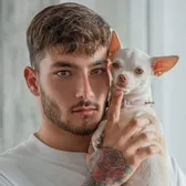 Chihuahua Investor