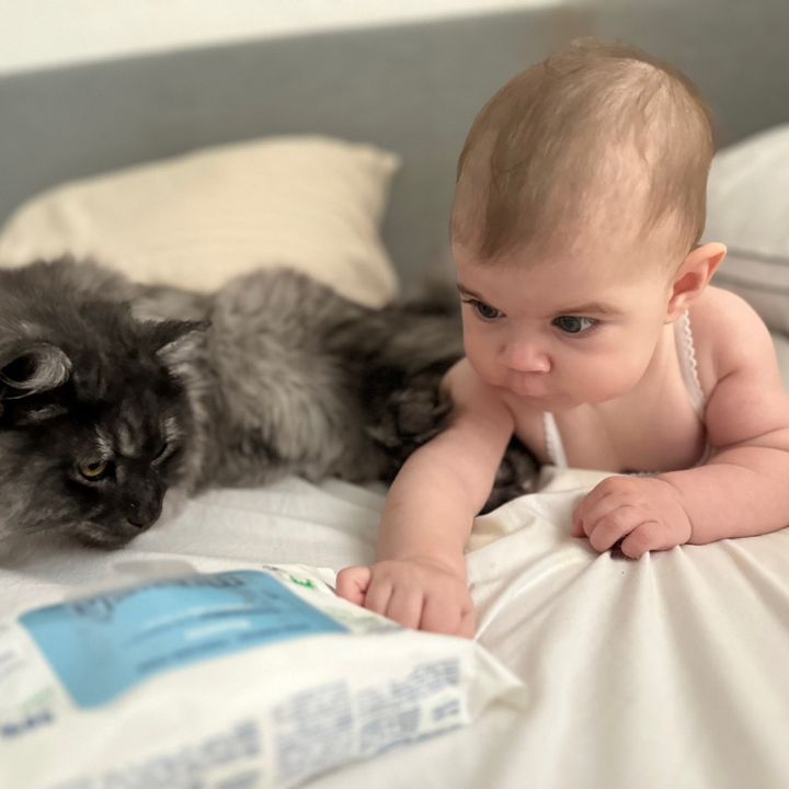 Baby_Bulka