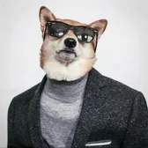 huige0030