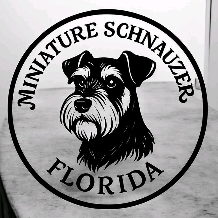 MINI SCHNAUZER NOBLE