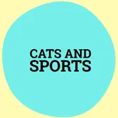 Cats and Sports Memes