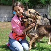 Animal rescue
