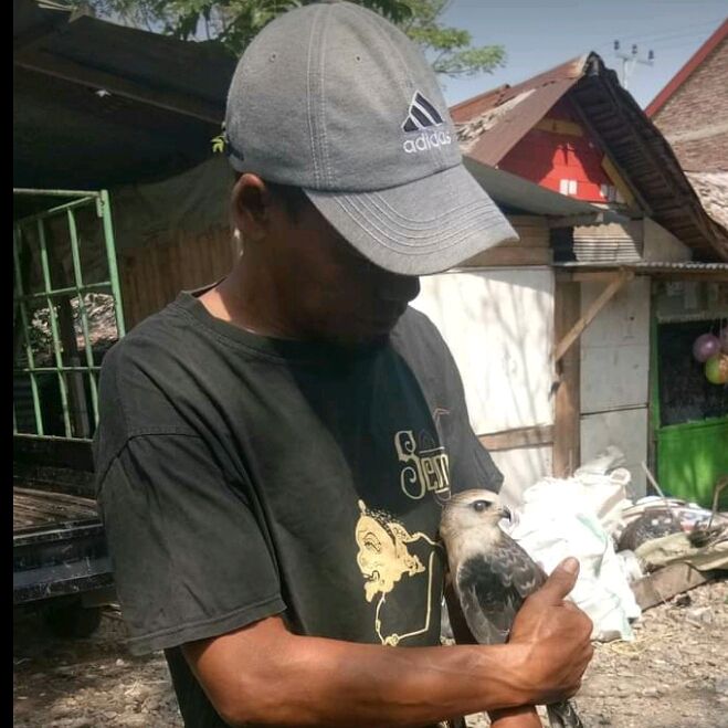 king subur jaya