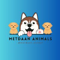 MetDaan Animals