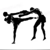 KungFu_FightingSkills