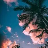 The Carrs | Florida 🌴