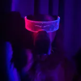 Jennysglasses