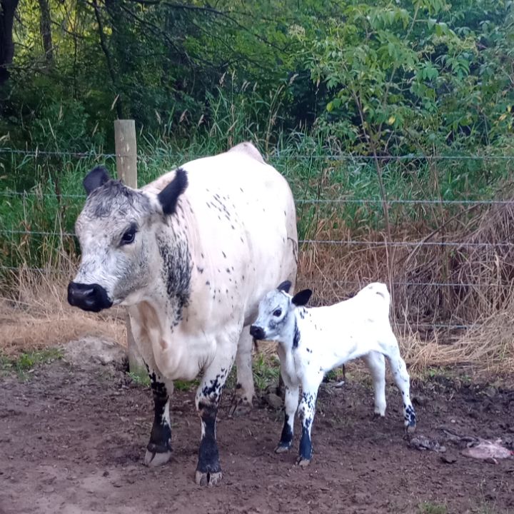 the blessed farmers wife