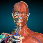 Medical World 3D