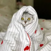 CatTik